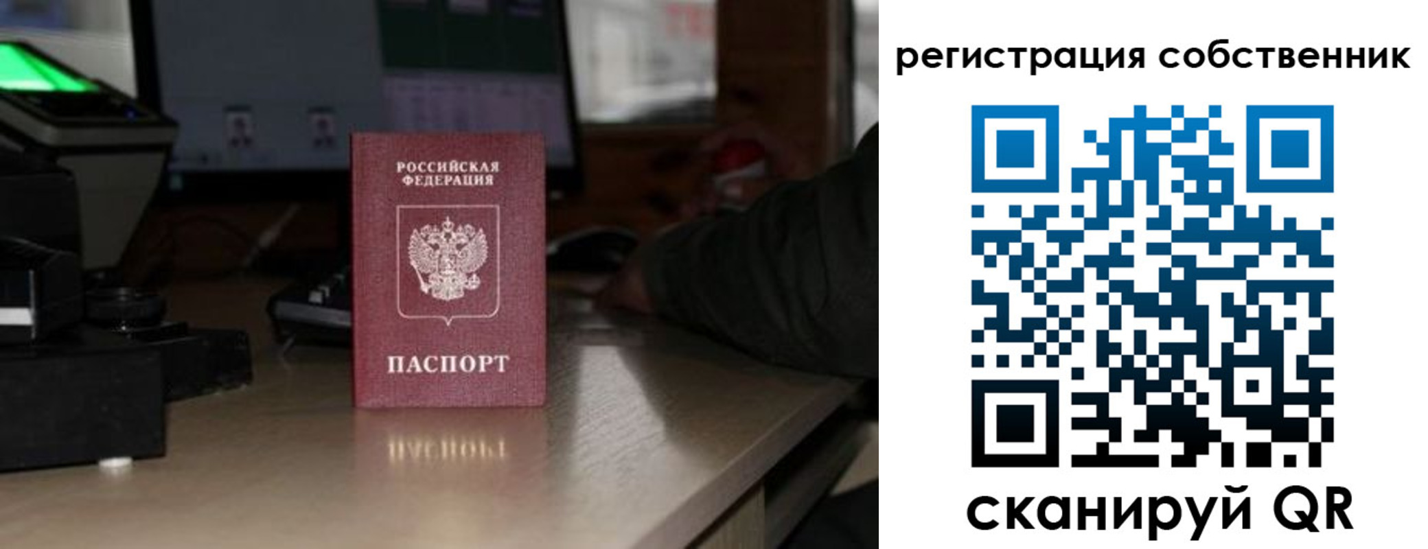 прописка поиск в Мытищах